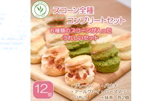 スコーン 6種 × 2個 セット 紅茶 専門店 ティー イソブチカンパニー すこーん suko-n