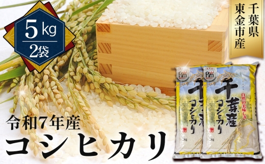 No.347 令和7年産 コシヒカリ5kg×2袋（千葉県東金市産） ／ 米 お米 こしひかり ご飯 香り 粘り 甘味 お弁当 食事 東金市 千葉県