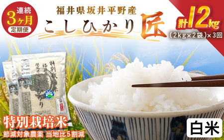 【3ヶ月連続お届け】 特別栽培米 コシヒカリ匠 4kg（2kg×2袋）×3回 計12kg 節減対象農薬当地比5割減【白米】お米 コシヒカリ [E-2921_01]