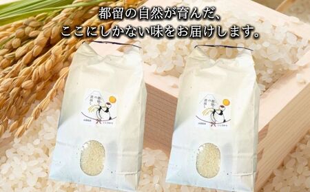 【ふるさと納税】【令和7年産 新米】山梨県都留市産 コシヒカリ 10kg（5kg×2）｜精米 産地直送 送料無料【都留市の恩返し米】