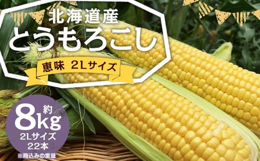 北海道産 とうもろこし 恵味 2Lサイズ 22本 約8kg 1箱 国産 冷蔵 【2026年8月上旬-8月下旬迄発送予定】