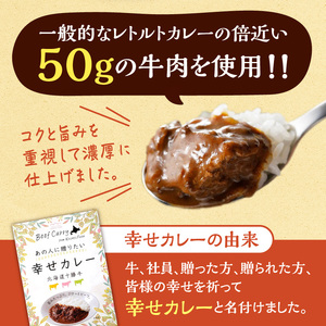 十勝清水コスモスファーム 幸せ レトルトカレー 200g×6食 | 北海道清水町 レトルトカレー カレーライス ご当地カレー