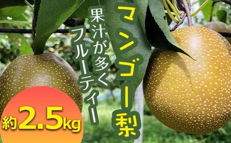 FKP9-652 【先行予約】 マンゴー梨（王秋梨） 約2.5kg なし ナシ 和梨 和なし 和ナシ ブランド梨