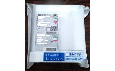 米沢牛生ハンバーグ 牛肉 ブランド牛 食品 山形県 F2Y-4165