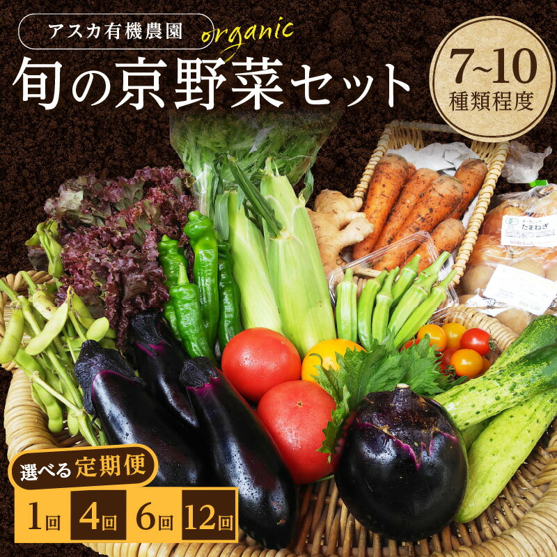 【ふるさと納税】京の旬野菜セットS（栽培期間中農薬・化学肥料不使用）＜アスカ有機農園＞ 1回 4回 6回 12回 定期便 回数 選べる 野菜 京野菜 旬野菜 旬 セット 詰め合わせ 京都府 京丹後市 ふるさと納税 野菜 生産者応援 農家応援 送料無料
