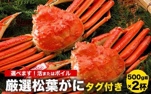 
            770.【選べます！活またはボイル】≪2025年11月発送≫ 特撰 松葉がに【ブランドタグ付き】 500g超×2杯【松葉ガニ 松葉蟹 松葉かに 蟹 かに 山陰 特大 大きい 活 ボイル タグ付き 鳥取県産 鳥取県 北栄町 おすすめ 人気 新鮮】
          