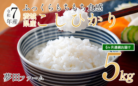 【6カ月定期便 令和7年産コシヒカリ5kg 】 夢田ファームのコシヒカリ定期便 | 米