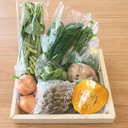 旬の新鮮野菜セット8種以上【野菜詰め合わせ】【配送不可地域：離島】【1753433】