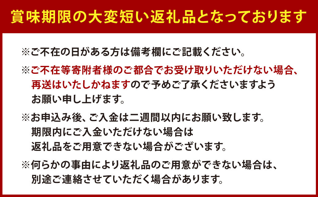 【栽培期間中農薬不使用】天姫（あまひめ）イチゴ 200g×2パック 合計400g