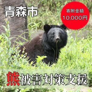 【返礼品なし】クマによる被害を防ぐ～クマ対策へのご支援を～　10,000円