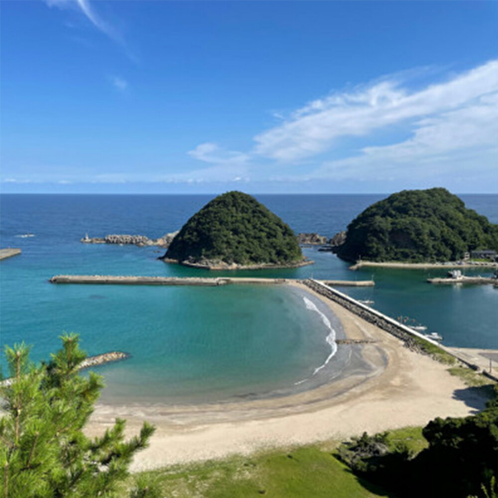 【ふるさと納税】新温泉町居組　絶景広がるジオパークでシーカヤック体験　ペアチケット(小学生以上)【1405198】