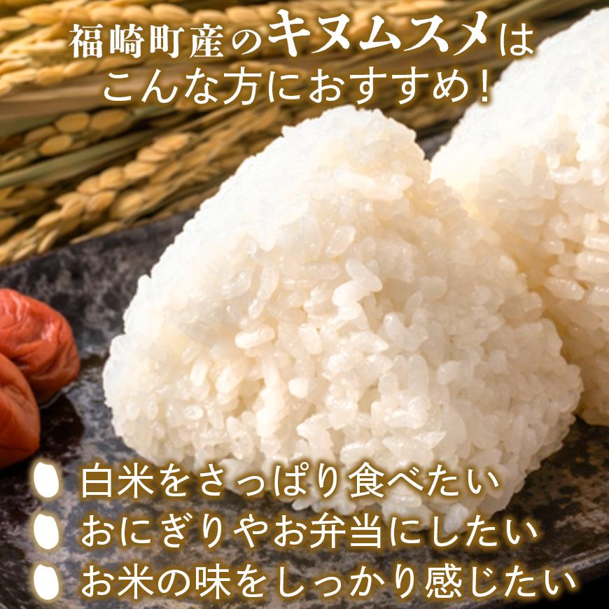白米 10kg 令和7年産 兵庫県産キヌムスメ 【食味スコア80】 冷めても美味しい おにぎりにおすすめ お弁当におすすめ