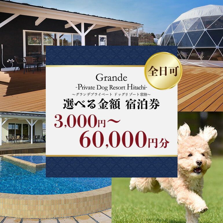 【ふるさと納税】グランデ プライベート ドッグリゾート常陸宿泊券 （全日可） 愛犬 ペットOK ドッグラン プール 温泉 サウナ ホテル チケット 宿泊 旅行 宿泊券 旅行券 72-F〜J