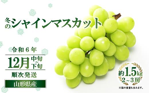 
【令和6年産先行予約】 JA 冬のシャインマスカット 約1.5kg (2～3房 秀) 《令和6年12月中旬～下旬発送》 『JA山形おきたま』 山形県 南陽市 [2055]
