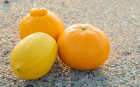 大崎上島産 自家栽培の果実で作る無添加まんまジャム 3本セット