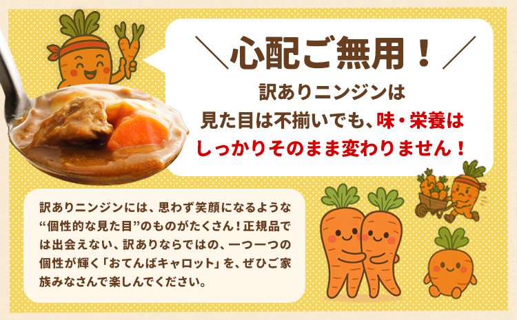 人参 訳あり にんじん ニンジン キャロット 5kg《12月中旬-3月上旬頃出荷》熊本県 大津町 人参 送料無料 にんじん キャロット 熊本県産 にんじん