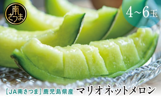 ◆5月出荷開始・数量限定◆鹿児島県産 マリオネットメロン 4～6玉 フルーツ メロン 果物 JA 南さつま