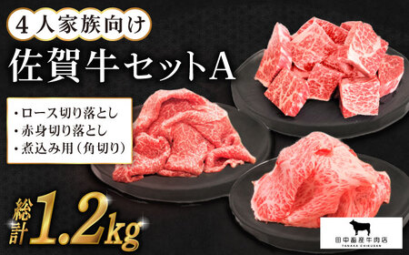 4人家族向け 佐賀牛 普段使いセットA [HBH031] 焼肉 佐賀牛 国産 和牛 黒毛和牛