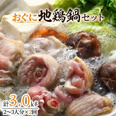【ふるさと納税】おぐに地鶏鍋セット(2～3人分×2回)【配送不可地域：離島】【1109948】