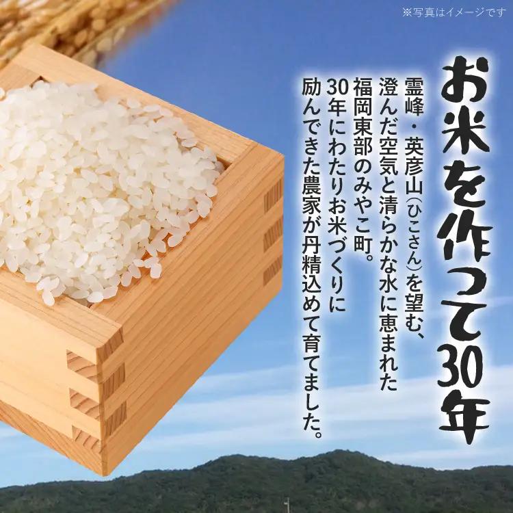 米 無洗米 令和8年産 夢つくし 10kg 米