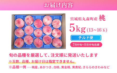 【先行予約】《7月中旬～9月中旬出荷》桃13玉～16玉（約5kg）　もも品種おまかせ　あかつき　白桃　黄金桃　黄貴妃　きららのきわみ【48005】