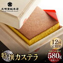 【ふるさと納税】【全12回定期便】【木箱入り】特撰カステラ 580g 長与町/文明堂総本店 [EAK004] カステラ 長崎 贈答 ギフト お土産 デザート 和菓子 スイーツ 熨斗 人気 和菓子 常温 かすてら ざらめ ザラメ お取り寄せ 文明堂 定期 定期便