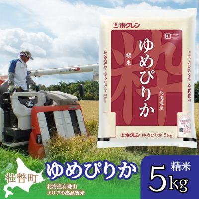 ふるさと納税 壮瞥町 【令和6年産】(精米5kg)ホクレンゆめぴりか SBTD034