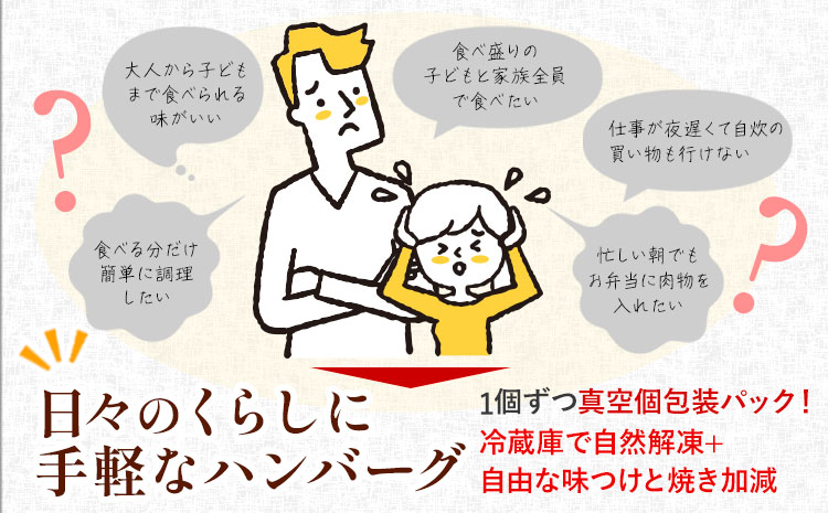ハンバーグ 鉄板焼き 肉肉ハンバーグ 生ハンバーグ 食べ比べ 20個 《1月出荷予定》熊本県 国産 豚肉 ハンバーグ 専門店監修 小分け 肉 ---oz_fhr_ac1_r7_10000_20i_n-
