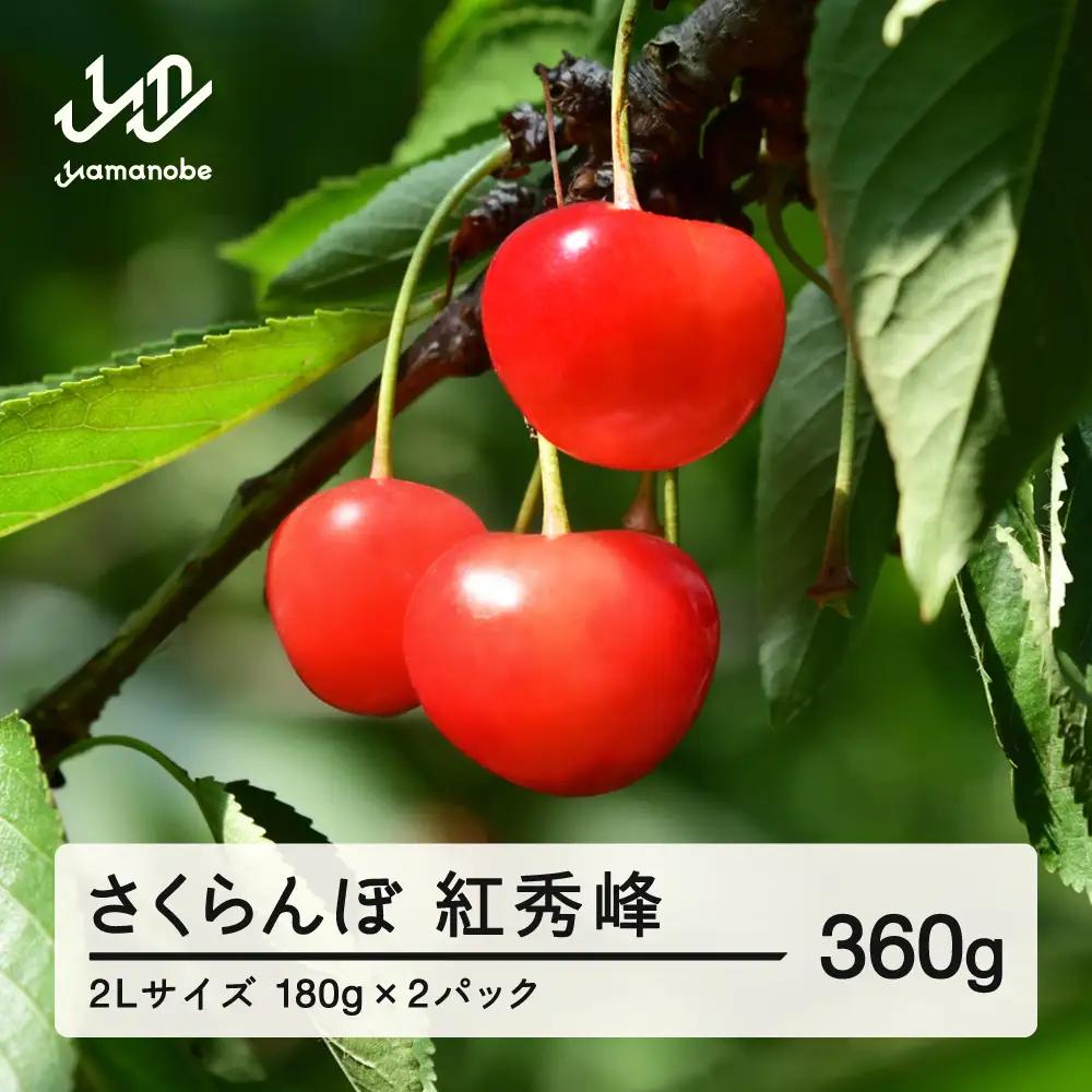 《先行予約》2027年 山形県産 紅秀峰 さくらんぼ 2Lサイズ 180g 2パック入り ※沖縄・離島への配送不可 ts-bs2lp360