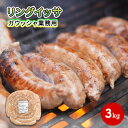 【ふるさと納税】リングイッサ ガウッシャ業務用 3kg　【 肉本来の旨味 豚肉生ソーセージ ボリューミー イベント BBQ ブラジル式生ソーセージ 生ソーセージ 】