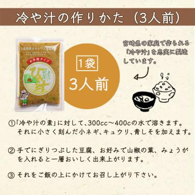 ふるさと納税 国富町 宮崎郷土料理　冷や汁　10個セット |  | 02