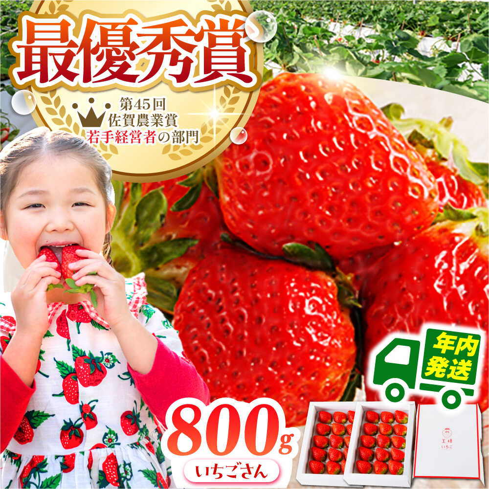 【ふるさと納税】【先行予約】【12月発送】王様のいちご いちごさん 800g ( 400g 2箱 ) いちご イチゴ 苺 | 佐賀県 江北町 |【むらおか農園】 [HAF001]