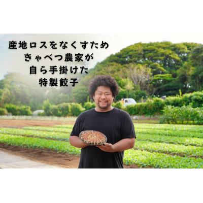 ふるさと納税 銚子市 子供が食べる!箸の止まらない美味しさ!アフロきゃべつ餃子 120個(30個入り×4袋) |  | 01