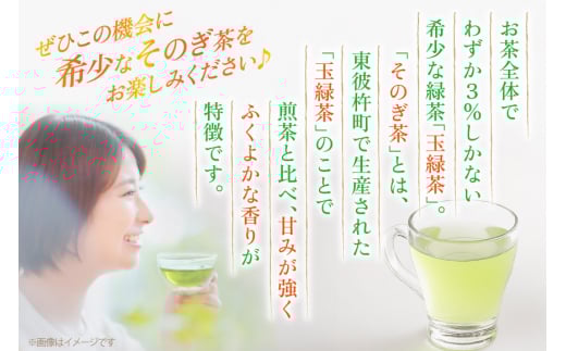 茶 お茶 緑茶 長崎 そのぎ茶 定期便 毎月 彼杵茶 玉緑茶 アルミボトル 490ml 24本 6回 総計144本 [彼杵の荘 長崎県 東彼杵町 hs42bag270039] 月に1回 アルミボトル 