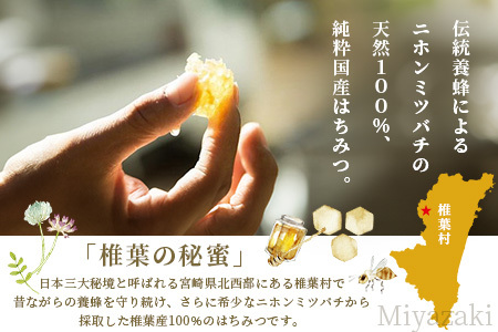【秘境を味わう】椎葉の秘蜜 【50g×2本,150g×2本の計4本】国産天然はちみつ【数量限定】 MS-12