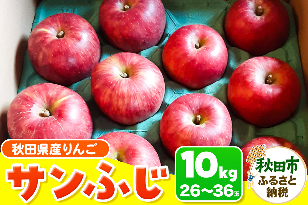 
            サンふじ 10kg りんご リンゴ 林檎
          