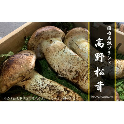 【ふるさと納税】【和歌山産】～香りそのまま真空パック～高級・希少高野松茸　300g(福:★)【配送不可地域：離島・北海道・沖縄県】【1340770】