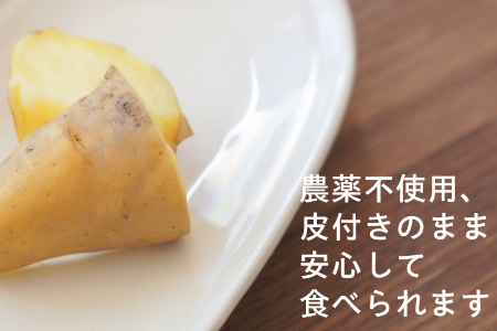 有機ジャガイモ　農薬不使用　有機JAS認証　季節限定（6月，7月，8月発送）旬野菜 2132 オーガニック　無農薬　化学肥料不使用　完熟で収穫するので甘みが豊富　じゃがいも　馬鈴薯　ばれいしょ