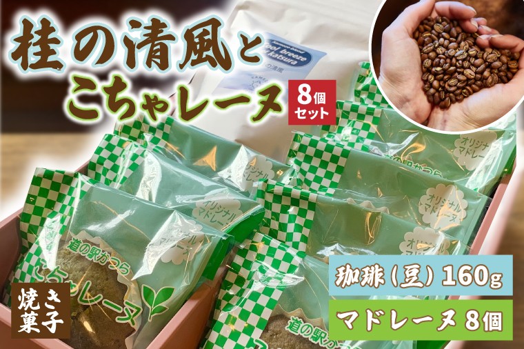 
                  珈琲豆とこちゃレーヌ8個【桂の清風】 マドレーヌ 焼き菓子 焼菓子 洋菓子 お菓子 スイーツ デザート 個包装 セット 珈琲豆 コーヒー豆 珈琲 ブレンド 自家焙煎 特産品 ご当地 地元 お取り寄せ 茨城県 城里町 (AF109)
                
