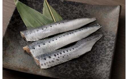 いわし フィーレ 加熱用 約2kg 鰯 イワシ