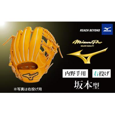 ふるさと納税 宍粟市 ミズノプロ 硬式用 野球グラブ 内野手用 坂本 型(右投げ)AO73