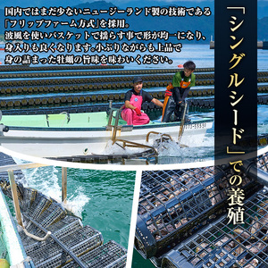 ひとくち 真牡蠣 (20個入) 真牡蠣 生がき 生牡蠣 かき 殻付き 貝 かい 一口サイズ 大分 佐伯 国産 ご当地 お取り寄せ グルメ 【GB001】【(株)海生】