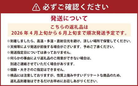 【樹上完熟】長崎みかん（ 甘夏みかん ）約5kg みかん フルーツ 甘夏 果物 くだもの ミカン 蜜柑 長崎  【2026年4月上旬-6月上旬発送予定】