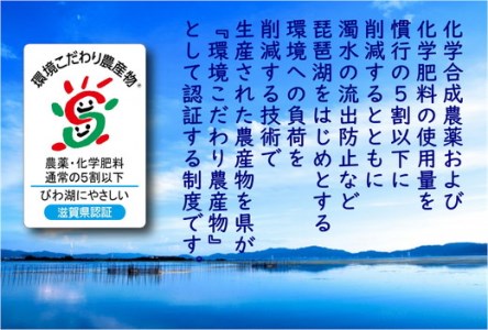  令和7年産 無洗米 白米 コシヒカリ 10kg 【BN01W2】 近江米 環境こだわり米 滋賀県産 単一原料米