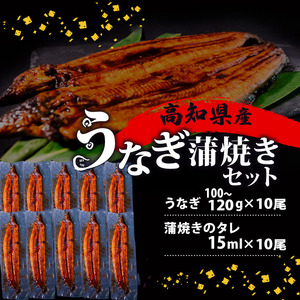 うなぎ 国産 高知県産 鰻 蒲焼き 100g～120g×10尾 セット 蒲焼きのタレ 付き 冷凍 高知県 須崎市 ( うなぎ 蒲焼き うなぎ 冷凍 うなぎ スタミナ うなぎ 土用の丑の日 うなぎ タレ