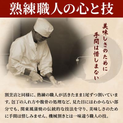 ふるさと納税 島田市 先行受付　【6月上旬より配送】　大五のうなぎ蒲焼　480g(120g×4尾)　国産うなぎ(中サイズ) |  | 02