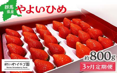 【いちご】3ヶ月定期便 やよいひめ いちご 800g×3回 群馬県 前橋市