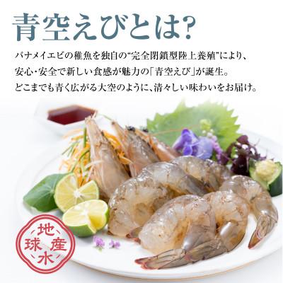 ふるさと納税 豊中市 青空えび(和名:シロアシエビ)2パック入り |  | 03