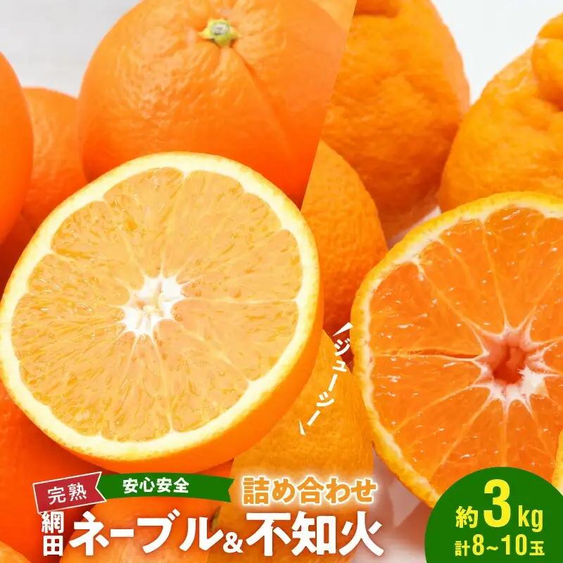 村田果樹園 網田ネーブルと不知火の詰め合わせ 約3kg _U101-0012