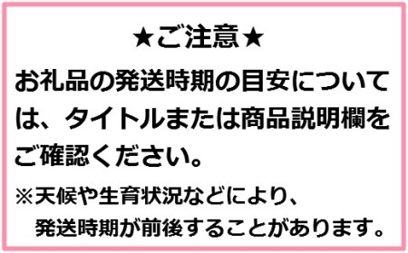 りんご【サンふじ＆王林＆シナノゴールド】セット（約5kg）【2024年産・先行予約】